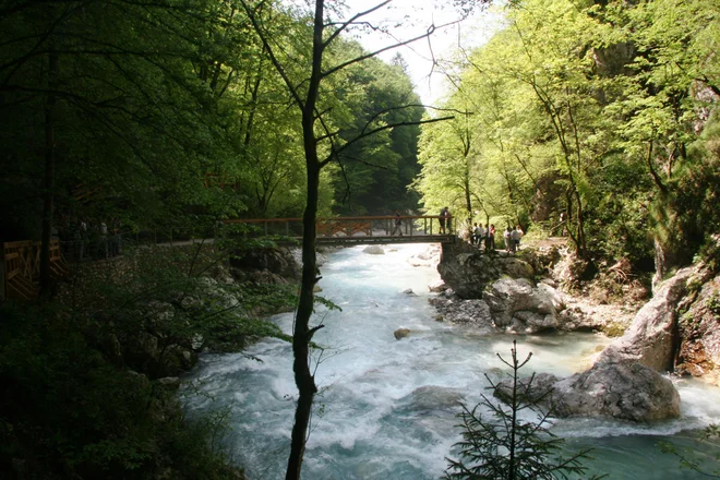 Na jutrišnji svetovni dan voda bodo odprla vrata Tolminska korita, poleti bo vstop številčćno omejen. FOTO: Blaž Močnik
