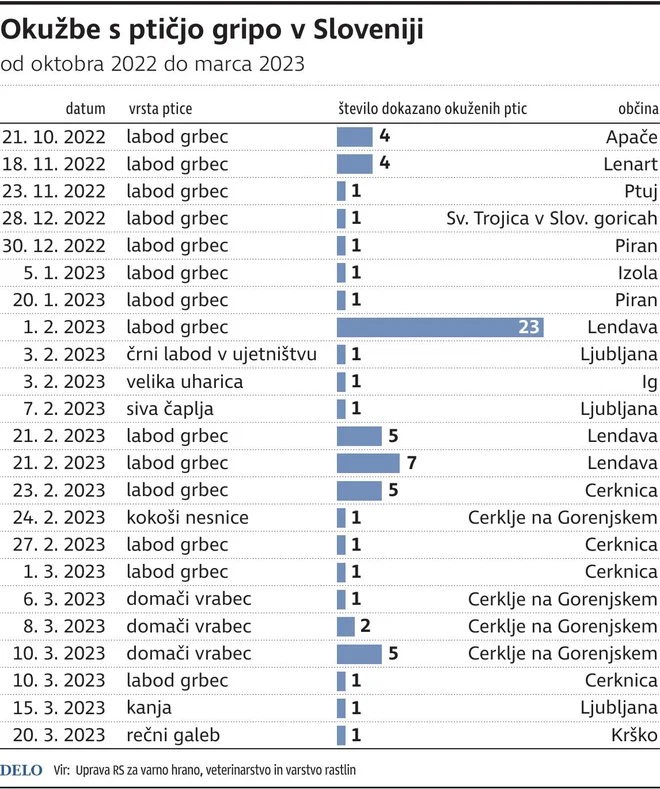 Okužbe s ptičjo gripo v Sloveniji 2023. INFOGRAFIKA: Delo
