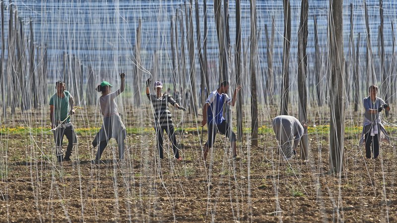 Fotografija: Kmetje opozarjajo, da je gradnja nasipov na območju žičnic in pravkar obnovljenih namakalnih sistemov nesmiselna. FOTO: Tadej Regent
