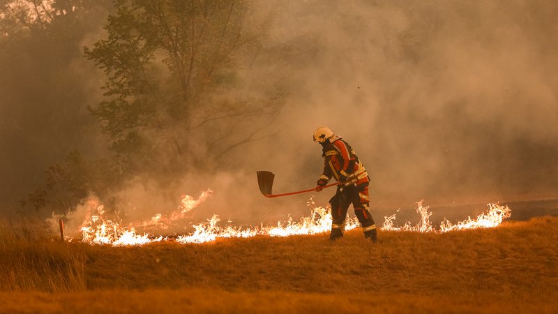 Fotografija: Požar na Krasu je lani opustošil pokrajino. FOTO: Črt Piksi/Delo
