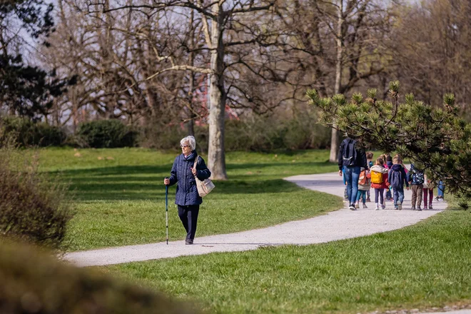 Upadanje rodnosti in večanje upokojenske populacije bosta močno poslabšali razmerje med delovno aktivnimi in upokojenimi. FOTO: Črt Piksi
