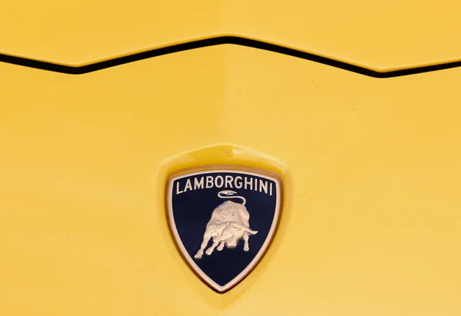 Da je lamborghini močna žival, kaže tudi logotip s podobo bika na pokrovu motorja. Za obvladovanje mišic pa prav pride prisebna glava. Foto Yves Herman Reuters