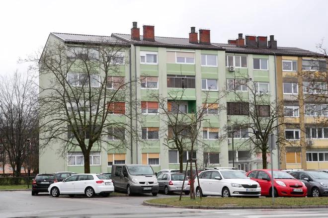 Opli so izginjali tudi v Štepanjskem naselju. FOTO: Marko Feist