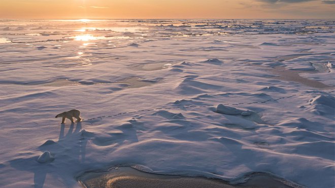 Ledena Zemlja: Zamrznjeni svetovi. FotoTVS