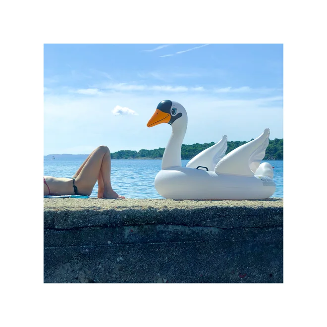 Dopust v avtorju prebudi kreativnost. Naslov fotografije: Beach Birds. FOTO: Voranc Vogel