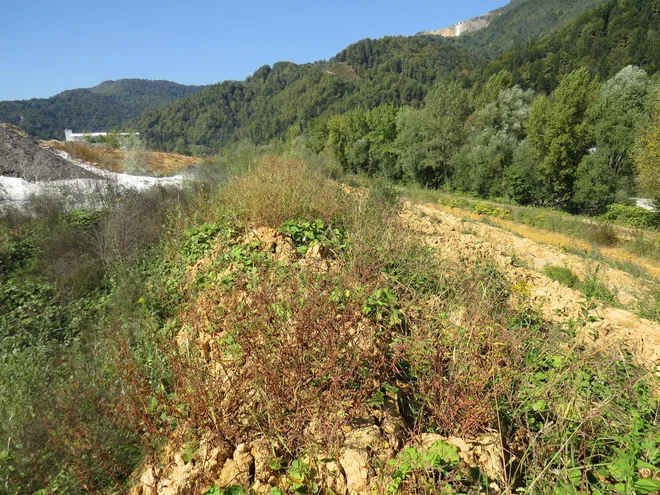 Apneničarji so v dolgih desetletjih na državno zemljo odložili velike količine mulja. FOTO: Bojan Rajšek/Delo