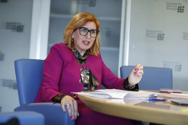 Zavedam se, da je zelo težko opravljati funkcijo predsednika vlade, to je zelo zahtevno delo, in če premier nima pravih svetovalcev okoli sebe, je še težje. FOTO: Leon Vidic