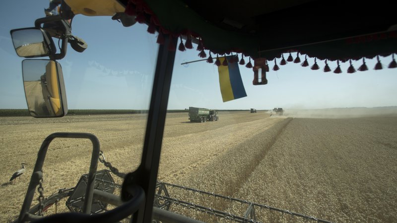 Fotografija: Pri prepovedi uvoza žita iz Ukrajine vlade ponavljajo, da si želijo zaščititi domače kmete pred poceni konkurenco. FOTO: Jure Eržen