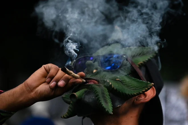 Na ljubljanskem Kongresnem trgu je včeraj po štirih letih spet potekl tradicionalni Marihuana marš. Gre za politični shod Študentske organizacije Univerze v Ljubljani, na katerem opozarjajo na družbeno, ekonomsko in zdravstveno problematiko, ki je posledica prohibicije konoplje. V Levici pozivajo, naj Slovenija pristopi k legalizaciji konoplje. Foto: Pedro Pardo/Afp