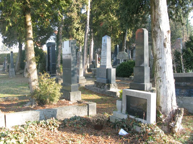 Na židovskem pokopališču v Dolgi vasi pri Lendavi so začeli Jude pokopavati po letu 1850. FOTO: Ivan Gerenčer