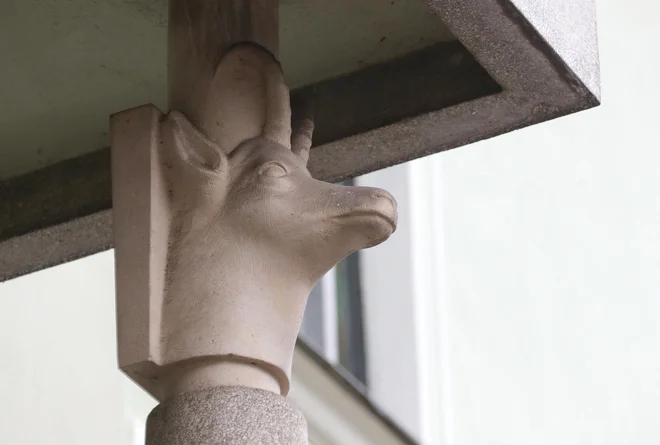 Nastopil je čas, da se ozremo vase in da strateška vprašanja o našem trajnem obstoju, o vlogi in pomenu, pa tudi o organizacijski prenovi po demokratični poti zastavimo vodstvu naše krovne organizacije, torej Lovske zveze Slovenije (LZS). FOTO: Dejan Javornik