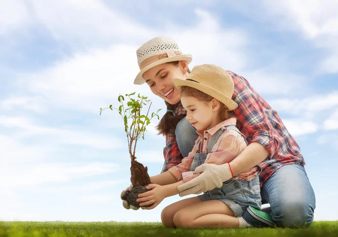Vzajemni skladi so namenjeni predvsem dolgoročnemu in ciljnemu varčevanju. FOTO: Getty Images/istockphoto