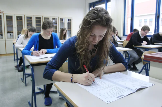 Ko bodo dijaki pisali o Antigoni, ki je kljub kraljevi prepovedi šla pokopat svojega brata, bodo namreč v le nekaj sto kilometrov oddaljenem Beogradu starši urejali pogrebe za svoje včeraj ubite otroke. FOTO: Leon Vidic/Delo