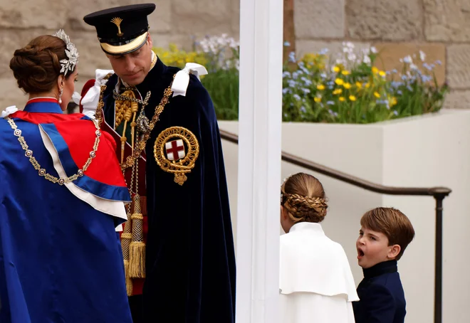 Malemu Louisu se je tudi nekoliko zehalo. FOTO: Odd Andersen/AFP