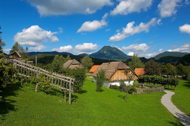 V ozadju Donačka gora, ki jo prepoznamo po treh vrhovih. FOTO: Tomo Jeseničnik