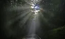 image_alt