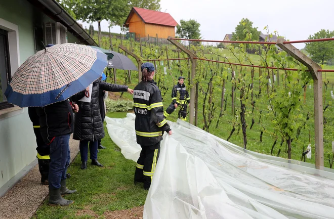 Zemeljski plaz v okolici Zavrča FOTO: Blaž Samec/Delo