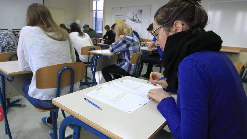 Predmetna komisija poudarja, da zdaj kandidati potrebujejo mir, in ne javne diskusije o primernosti naslova in navodil, kandidati pa odgovarjajo, da so jih najbolj vznemirili prav navodila in naslov. FOTO: Leon Vidic/Delo