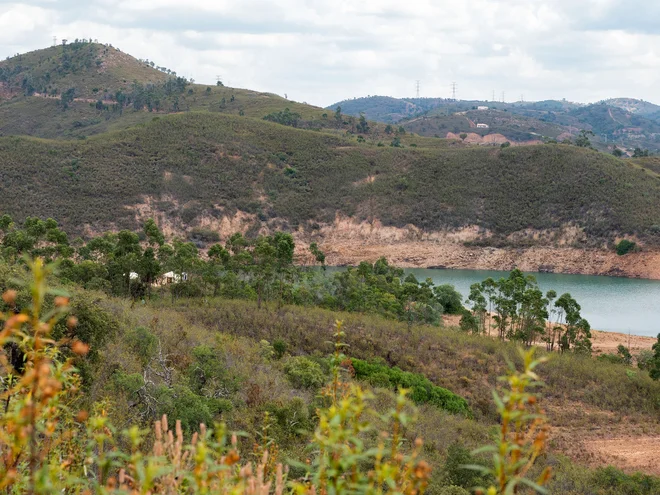 Ali umetno jezero skriva truplo deklice? FOTO: Luis Ferreira/Reuters