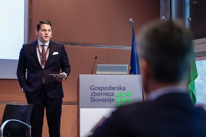 Georg Winter, generalni direktor skupine GrECo. FOTO: Črt Piksi/Delo