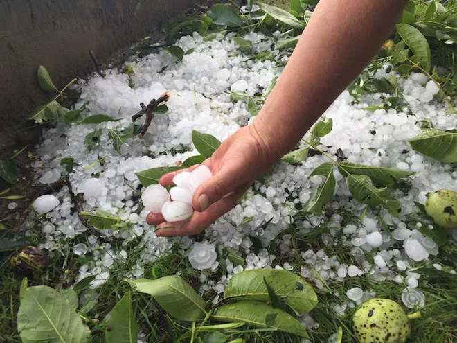 Na več geografskih območjih se pojavljajo številne neugodne podnebne spremembe in pojavi – toča, poplave, hujši vročinski valovi, požari v naravi ... FOTO: Oste Bakal
