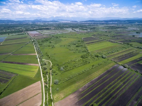 Naravni rezervat Iški morost z okoliško barjansko krajino. FOTO: Tilen Basle 