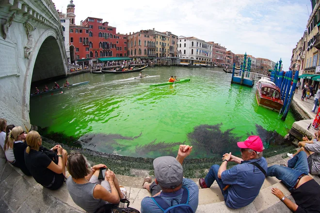 Konec tedna so lahko turisti poslali v svet fotografijo Velikega kanala, obarvanega fluorescentno zeleno. FOTO: Stringer/AFP