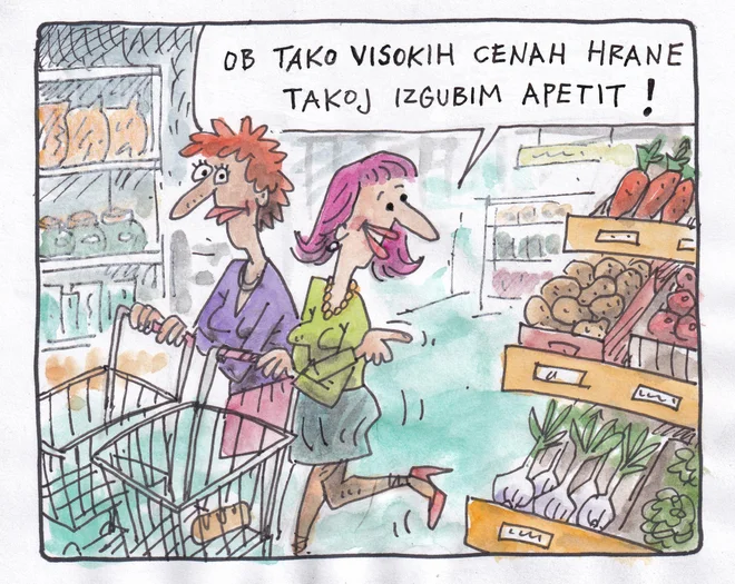 KARIKATURA: Marko Kočevar/Delo