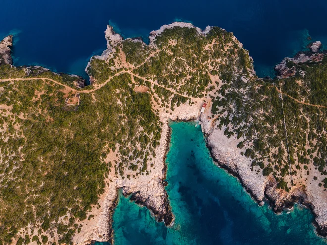 Tako Portić vidijo galebi. FOTO: Marko-Lorenzo Blaslov