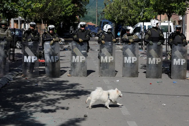 Potem ko so v ponedeljek pretepli 41 pripadnikov Kforja, so poslopje občine Zvečan varovali pripadniki poljske vojaške policije, ki prav tako deluje pod okriljem Natove mirovne misije. FOTO: Ognen Teofilovski/Reuters