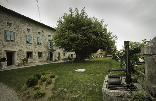 Les jardins de l'architecte Maks Fabiani à Kobdilje pri Štanjelo sont ouverts du lundi au jeudi.  PHOTO : Jože Suhadolnik