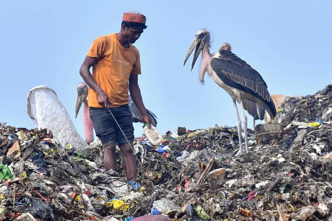 Po oceni Združenih narodov človeštvo letno proizvede 400 milijonov ton plastike, polovica je namenjana enkratni uporabi. Na sliki smetišče v indijskem mestu Guwahati. FOTO: Biju Boro/AFP