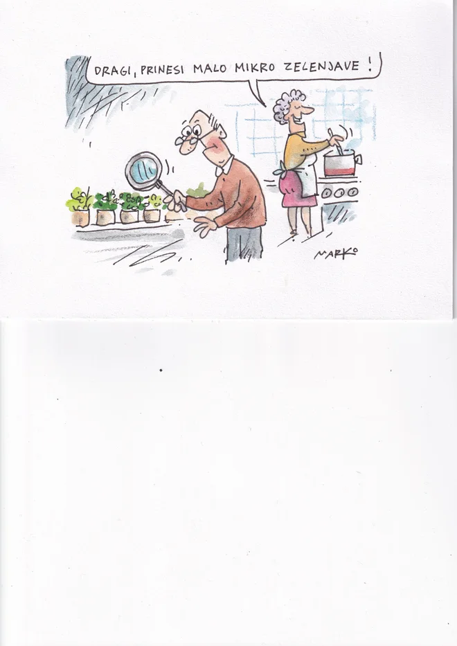 KARIKATURA: Marko Kočevar