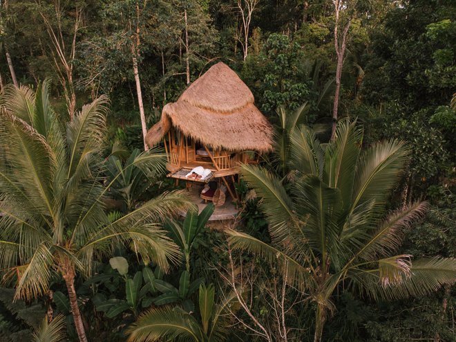 Bujni deževni gozd na Baliju je najlepši ob zori. FOTO: Shutterstock