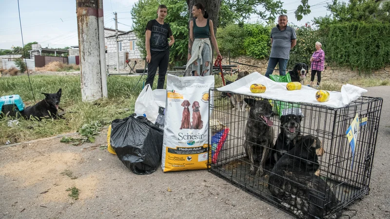 Fotografija: Prebivalci in psi so bili evakuirani s poplavljenih območij. FOTO: Vladyslav Musiienko/Stringer Reuters