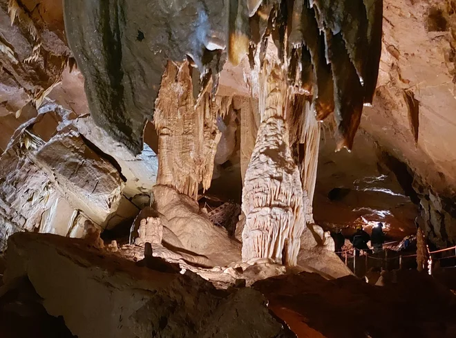 V Županovi jami stalne tekoče vode ni in torej ni pogojev za človeško ribico, je pa zelo dragoceno, da zdaj vemo, da v sistemih vodnih kanalov, ki so še globlje, gotovo živi, je povedal predsednik društva, ki upravlja jamo. FOTO: Damjan Viršek

 
