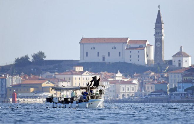 Hrvaška ne upošteva arbitražne razsodbe. FOTO: Matej Družnik/Delo
