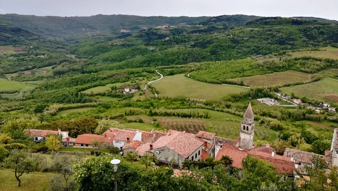 Namen Camina Istre je, da stare poti, nekatere so še srednjeveške, poveže v res dolgo enosmerno pot, ki bi vodila tudi skozi stara mesteca in naselja.

FOTO: arhiv Vide Ogorelec