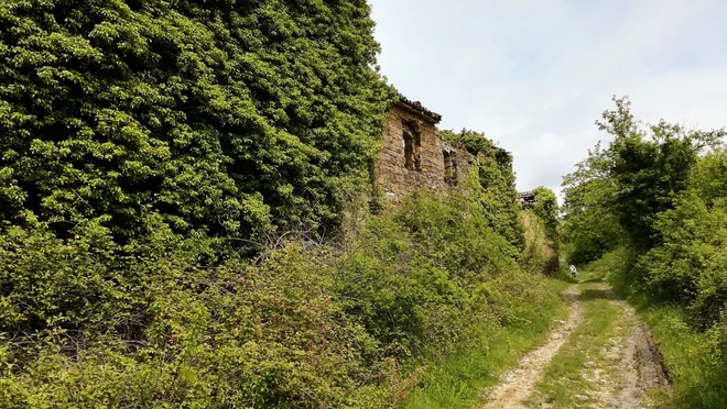 Četudi so nekatere poti zaraščene, so večinoma kar žive, ugotavlja Vida Ogorelec. FOTO: arhiv Vide Ogorelec