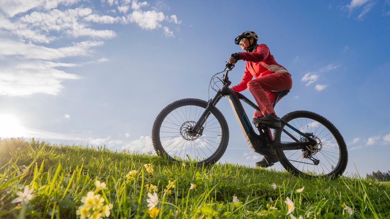 Fotografija: Električna kolesa se po tržnem deležu kar hitro vzpenjajo, tako kot gre lažje v klanec električno gorsko kolo. FOTO: Shutterstock