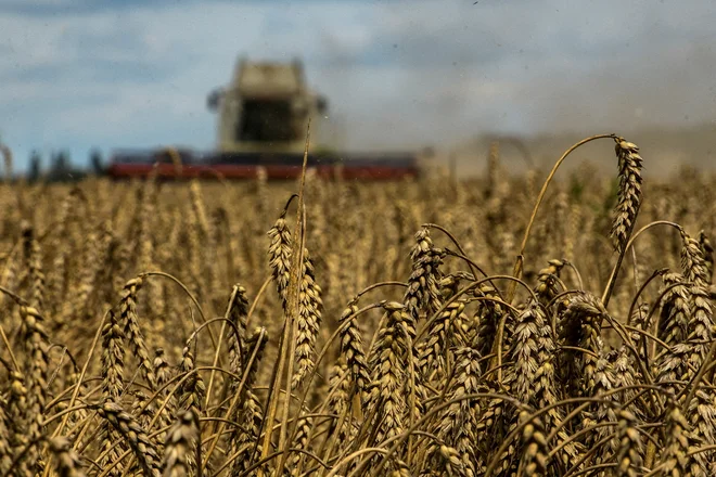 Integracija ene od vodilnih izvoznic hrane na svetu na skupni trg je lahko odlična priložnost za sedemindvajseterico. FOTO: Viacheslav Musiienko/Reuters