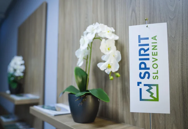Spirit je sicer prejel 60 vlog konzorcijev, vendar je agencija odobrila le 21 projektov, ker je zmanjkalo denarja. FOTO: Jože Suhadolnik/Delo