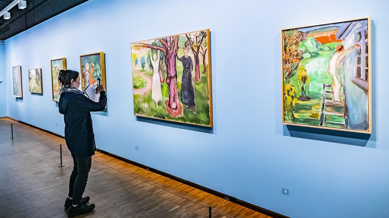 Fotografija: Z novim vpojnim materialom, ki ščiti shranjene umetnine, so opremili tudi Munchov muzej v Oslu.

FOTO: Shutterstock

 