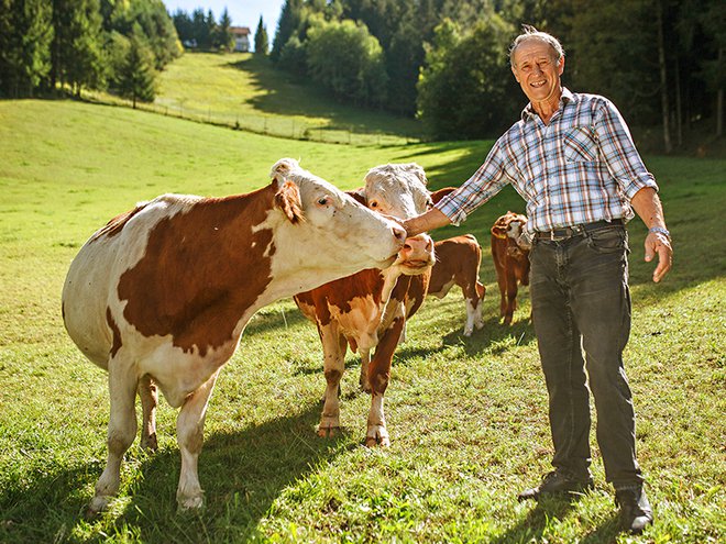 Polde Mrak je lastnik kmetije Mrak, kjer se posvečajo ekološki reji goveda. FOTO: Spar Slovenija