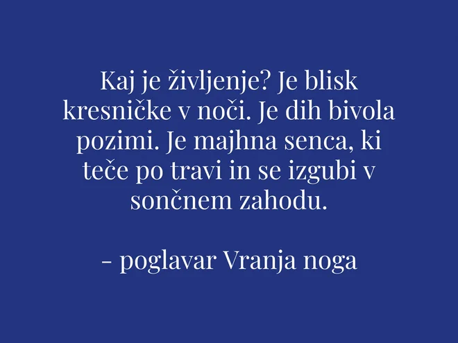Sobotna iskrica dneva. FOTO: Delo