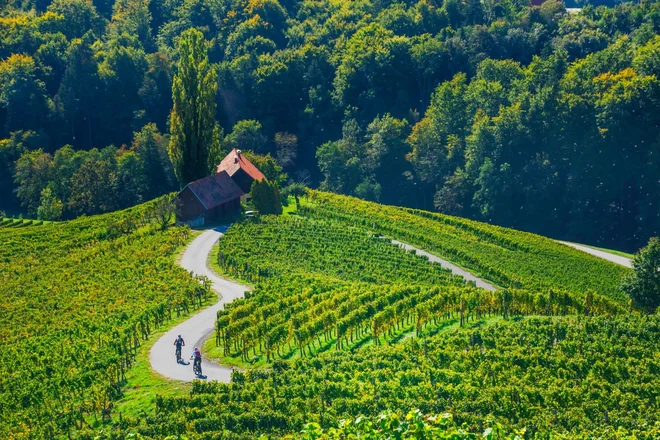 To poletje je pravi čas za urbanaravno doživetje. FOTO: Regionalna razvojna agencija za Podravje