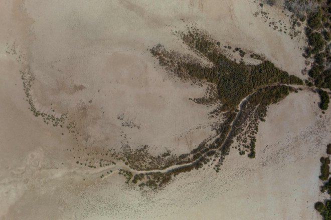 V aprilu 2023 se je laguna z rožnatimi odtenki največje kolonije plamencev na Iberskem polotoku izsušila in spremenila v opustošeno slano puščavo. Foto Jorge Guerrero/AFP