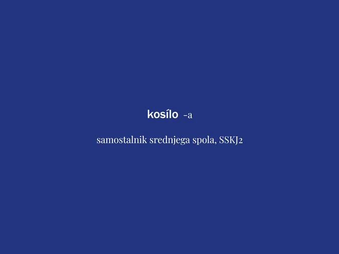 Beseda tedna je kosilo. FOTO: Delo