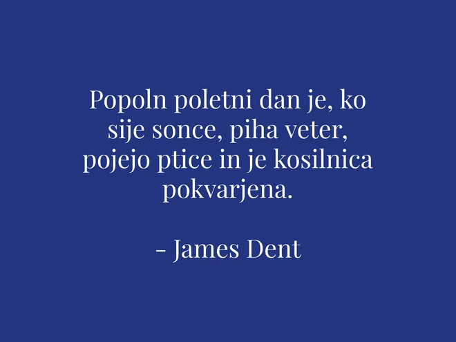 Sobotna iskrica dneva. FOTO: Delo