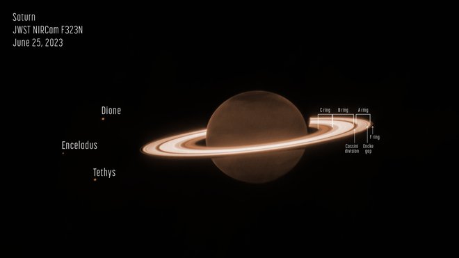Obroči so precej svetlejši od samega planeta, Webb je v objektiv ujel tudi tri lune. FOTO: Space Telescope Science Institut

 